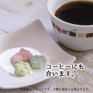 和三盆 いぬづくし 13個入 さぬき和三盆糖 ...の詳細画像5