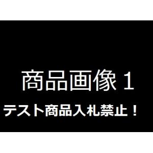 テストコウニュウ