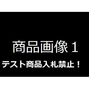 テスト28169102
