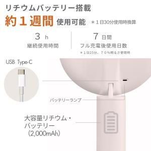 PRIDEMII ポール型 多機能LED女優ミ...の詳細画像4