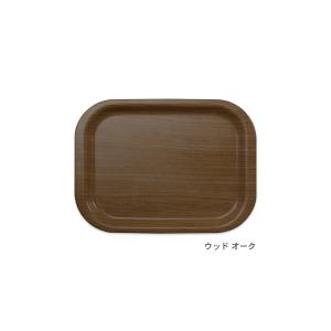TATSU-CRAFT(タツクラフト) NS ...の詳細画像2