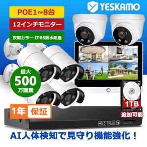 防犯カメラ 500万画素 AI検知