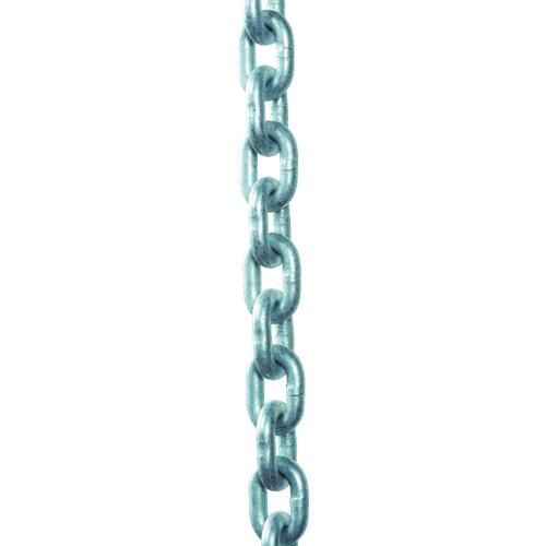 象印　チェーン６．３φ（チェンスリング１００用） 象印チェンブロック（株） (C10-6.3) (4...