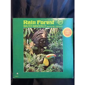 【プロモオンリー！】ロバート・プラント/Little By Little ROBERT PLANT / little by little12inch : tatsuda records - 通販