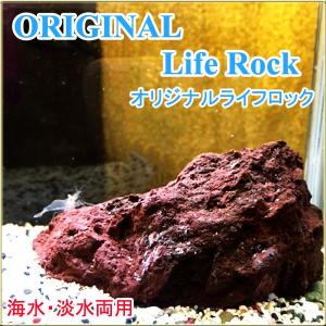 淡水用ライブロック ろ材 水槽 アクアリウム用品 の商品一覧 フィルター ポンプ ろ材 熱帯魚 アクアリウム用品 ペット用品 生き物 通販 Yahoo ショッピング