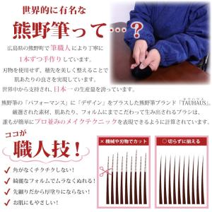 熊野筆 TAUHAUS ネット限定!チークブラ...の詳細画像3