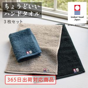 ハンドタオル 3枚セット タオルハンカチ メンズ 今治 個包装 ギフト 23×32cm Tps-153-3set（休日配送対応）｜tavarat