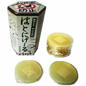 はとにげーる 鳩よけグッズ 10個入り×2個 糞害防止 鳥用