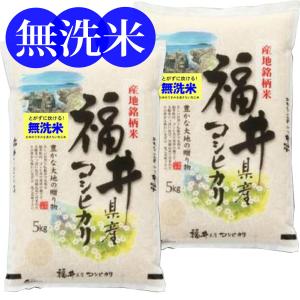 無洗米 10kg 福井県産 コシヒカリ 米 お米 10キロ 令和5年産 ご注文後に精米 5kg×2袋 送料無料