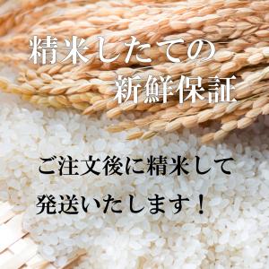 新米 令和8年産 米 5kg 千葉県産 ふさお...の詳細画像3