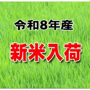 新米 令和8年産 米 5kg 千葉県産 ふさお...の詳細画像2