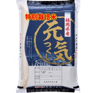 コシヒカリ 米 5kg 徳島県産 阿南指定 お米 5キロ 令和7年産 玄米 白米