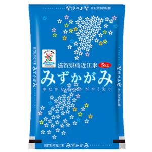 コシヒカリ 米 5kg 富山県産 入善町指定米 お米 5キロ 令和7年産 玄米