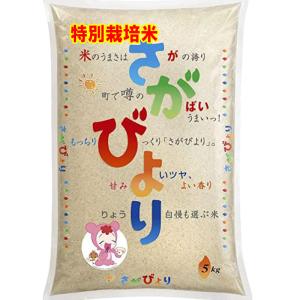 米 5kg 特別栽培米 さがびより 特A米 佐賀県産 白石地区指定 お米 5キロ 令和5年産 玄米 白米 7分づき 5分づき 3分づき オーダー精米 ご注文後に精米 送料無料｜tawaraya-kome