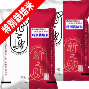 米　特別限定価格！白米【岩手県産銀河のしずく10kg】 (5kg×2) 送料無料 岩手県産 銀河のしずく 10kg（5kg×2袋）お米 新米 白米 令和7