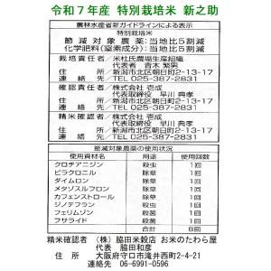 米 10kg 特別栽培米 新之助 しんのすけ ...の詳細画像3