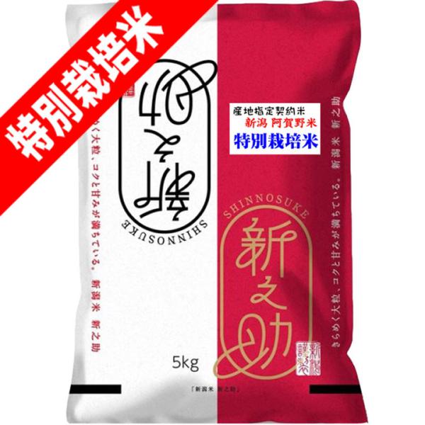 米 5kg 特別栽培米 新之助 しんのすけ 新潟県産 お米 5キロ 令和7年産 玄米 白米 7分づき...