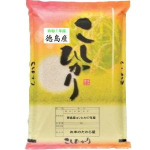 コシヒカリ 米 10kg 徳島県産 阿南地区指定 お米 10キロ 令和7年産