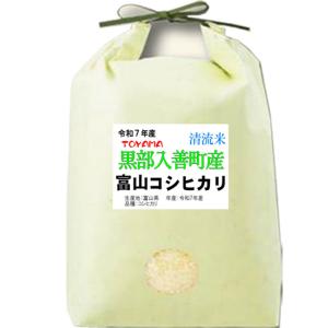 兵庫県丹波ささ山産コシヒカリ新米（白米）１０キロ コシヒカリ 新米 令和7年産 米 10kg 篠山コシヒカリ 兵庫県 丹波