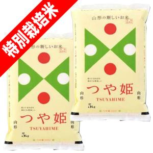 つや姫　10kg 玄米　山形　令和7年　特別栽培米 山形直送計画】令和7年度米 山形県産つや姫（特別栽培米） – 百姓屋くらた