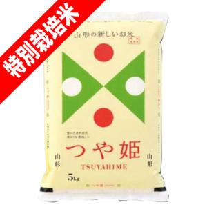 つや姫 令和7年産 5kg お米 米 山形産 白米 特A 送料無料一部を除く