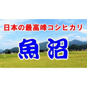 米 5kg 新潟県 魚沼産 コシヒカリ お米 ...の詳細画像4