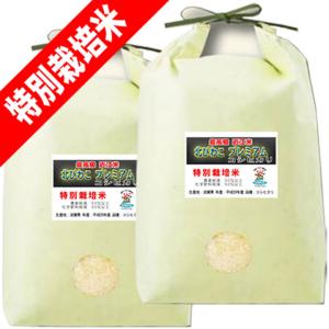 コシヒカリ 無農薬 10kg 令和6年産 玄米 農薬不使用 100％有機肥料