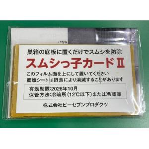 スムシっ子カードII　【3セット】