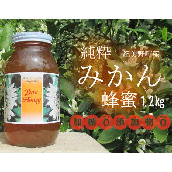 和歌山県紀美野町産純粋みかん蜂蜜1.2kg