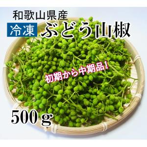 冷凍ぶどう生山椒500ｇ〈初期から中期品〉　和歌山県産実山椒　青山椒