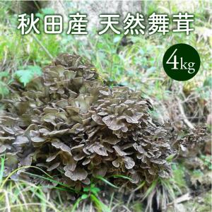 天然ならたけ1kg 秋田産 天然きのこ ナラタケ ボリボリ サモダシ
