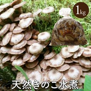 天然舞茸2kg【10月上旬発送開始】秋田産 採れたての天然マイタケを