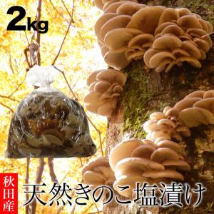 天然舞茸2kg【10月上旬発送開始】秋田産 採れたての天然マイタケを