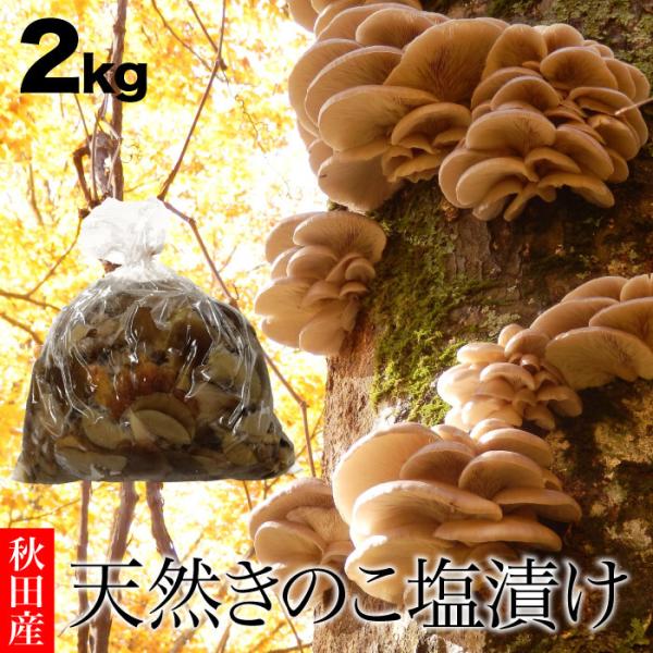 天然きのこ塩漬け2kg 秋田産 ナラタケ ムキタケ アミタケ ナメコ 国産の採れたて天然キノコ塩蔵を...