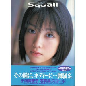 小向美奈子　写真集　　ポスター付き