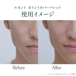 公式 TBC ルオント ポイントカバーパレット...の詳細画像2