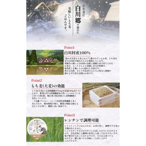 白川村産 寝かせ玄米もち麦ごはん 12食 玄米...の詳細画像1