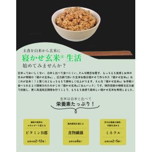 白川村産 寝かせ玄米もち麦ごはん 12食 玄米...の詳細画像2