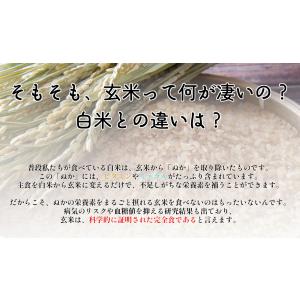 白川村産 寝かせ玄米もち麦ごはん 12食 玄米...の詳細画像3