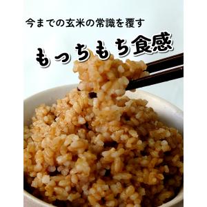 白川村産 寝かせ玄米もち麦ごはん 12食 玄米...の詳細画像4