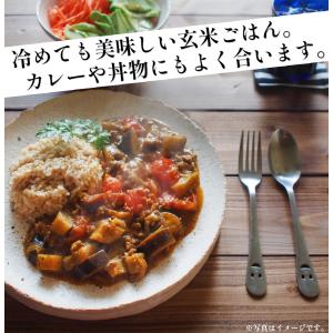 白川村産 寝かせ玄米もち麦ごはん 12食 玄米...の詳細画像5