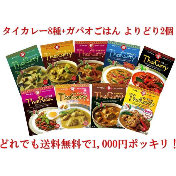 ヤマモリ タイカレー ガパオ よりどり2個 メール便 1000円ポッキリ 送料無料