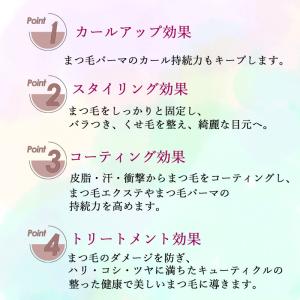 フェニックス アイ カールアップコーティング ...の詳細画像3
