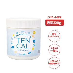古代ソマチッド 粉タイプ 100g ソマチッド SOMACHI ソマチ 奇跡の鉱石