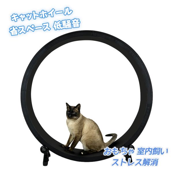 キャットホイール 回し車 省スペース 低騒音 キャットタワー 猫ホイール ランニングマシーン 猫 運...