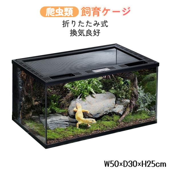 爬虫類 飼育ケージ 折りたたみ式 グラステラリウ W50×D30×H25cm 両開きフロントドア 換...