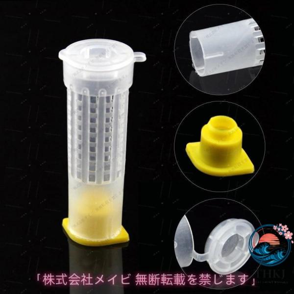 養蜂器具 分蜂王籠 養蜂 蜂女王 逃去防止器 巣箱 蜜蜂 みつばち 10個