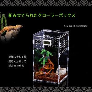 爬虫類?両生類用飼育ケース 透明 飼育容器 飼...の詳細画像2