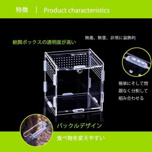 爬虫類?両生類用飼育ケース 透明 飼育容器 飼...の詳細画像3