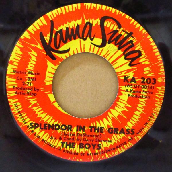 BOYS, THE (ザ・ボーイズ)-Splendor In The Grass (US '65 初...